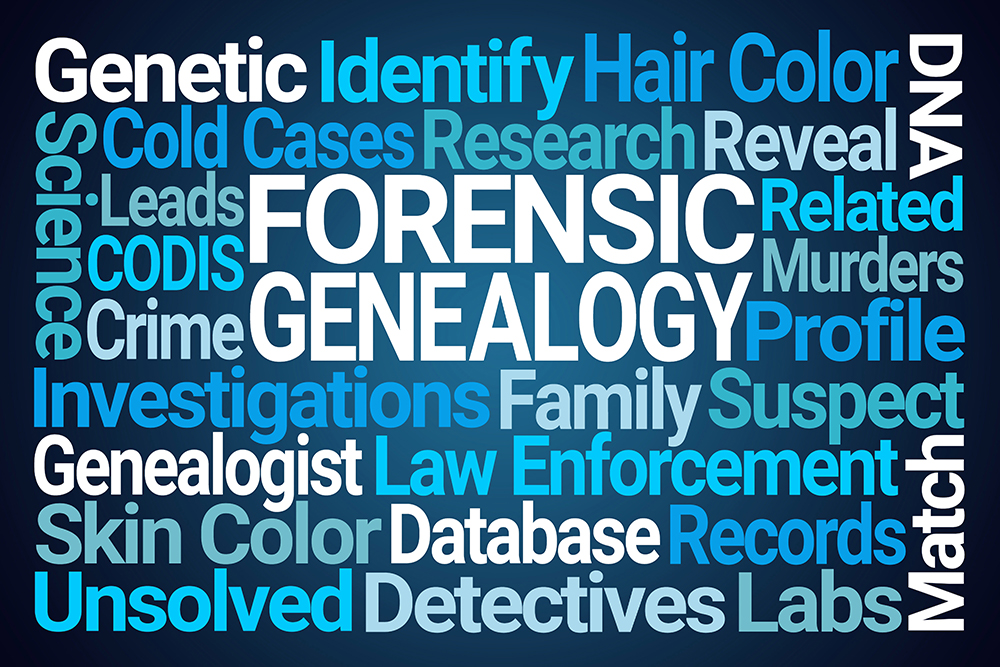 Searching for Suspects in Cold Cases